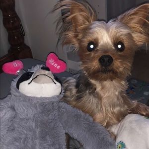 Meet your Posher, Logan